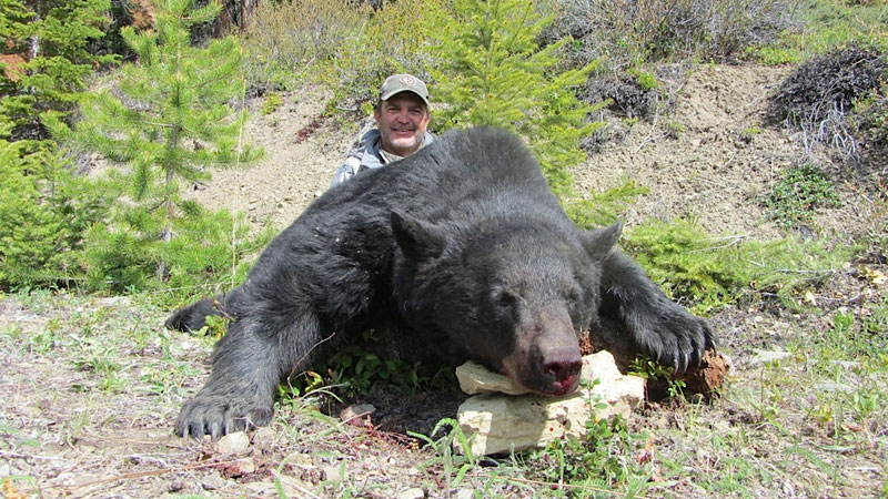 Black Bear Hunting - BC, Canada Hunting Trips - Fraser River Outfitters